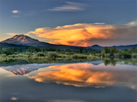 Logo for Norbert Miller Photography Logo for Norbert Miller Photography