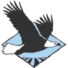 Azure_Logo_300x300